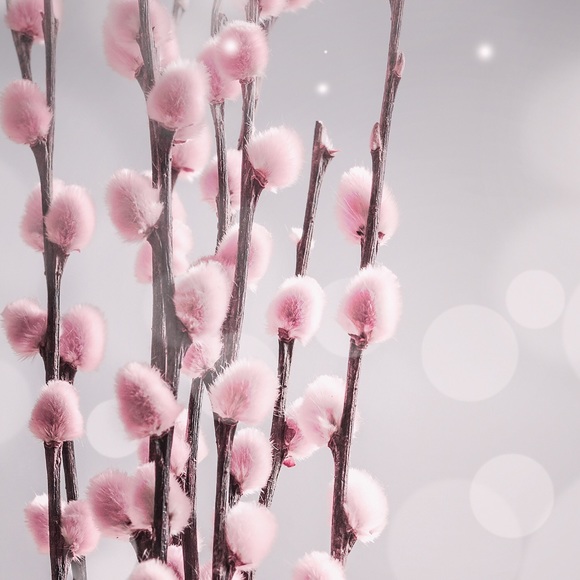 Meet your Posher, Jeanette - Picture 1 of 1